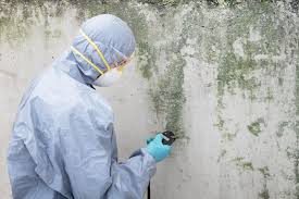 Reliable Dexter, GA Mold Removal Solutions